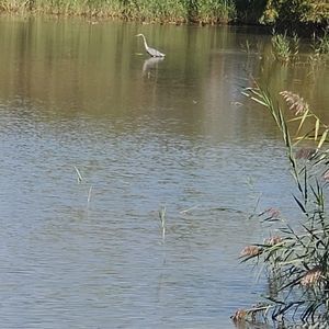 Meet your Posher, Quincy